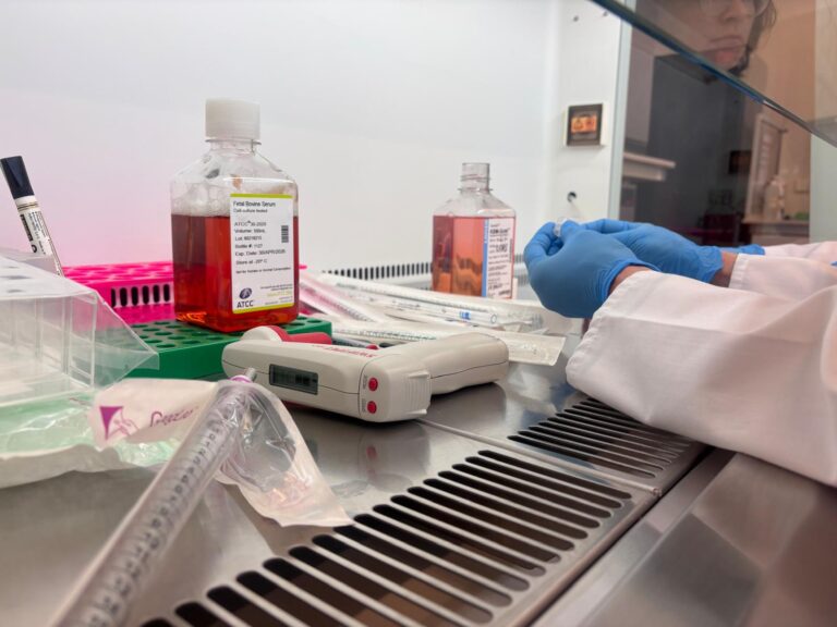 Ocena cytotoksyczności in vitro